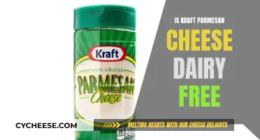 Kraft's Parmesan Cheese: Dairy-Free or Not?