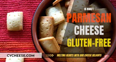 Parmesan Kraft: Gluten-Free Goodness