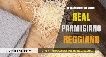 Kraft Parmesan: Real Parmigiano Reggiano or Not?