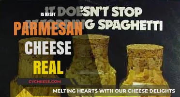 Kraft Parmesan: Real Cheese or Fake?