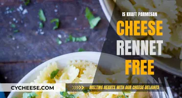 Kraft Parmesan Cheese: Rennet-Free?
