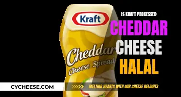 Kraft Cheddar: Halal or Not? Unveiling the Truth