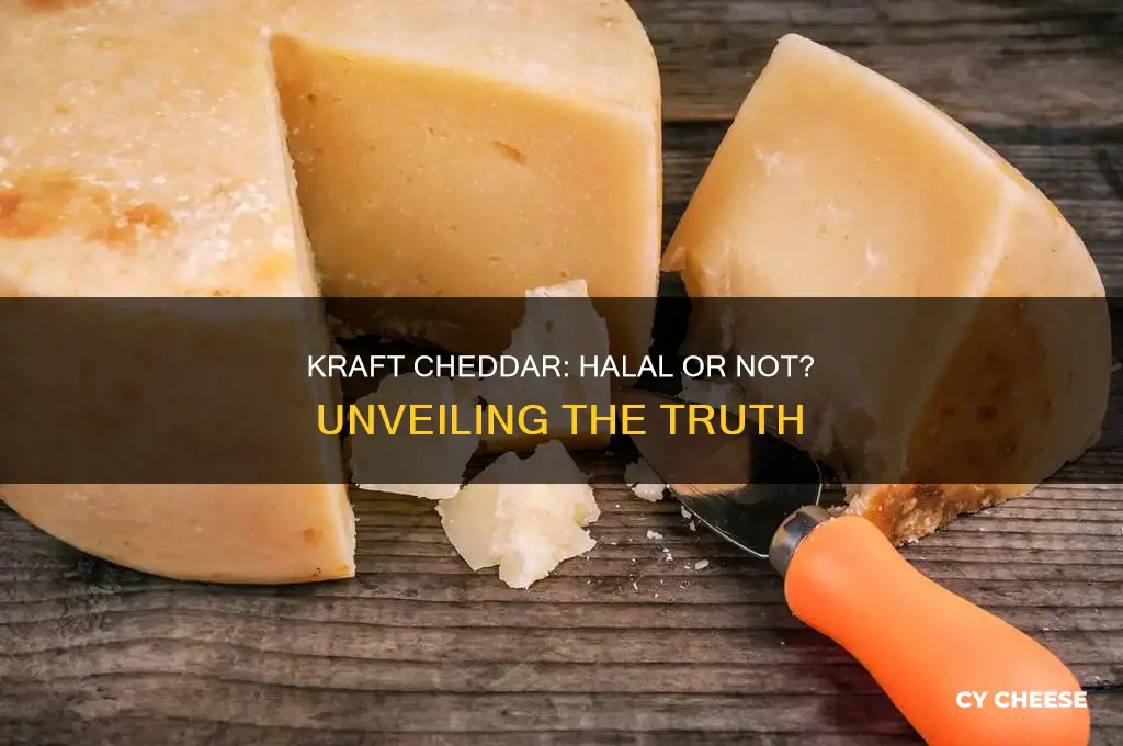 is kraft processed cheddar cheese halal