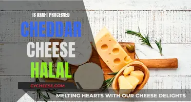 Kraft's Halal Cheddar: Processed Cheese for Muslims?