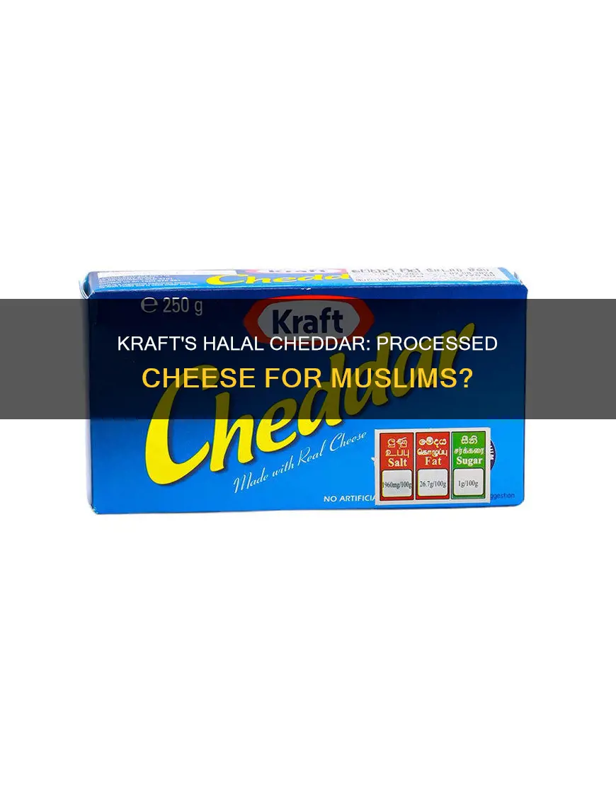 is kraft processed cheddar cheese halal