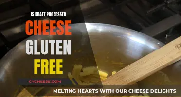 Gluten-Free Kraft Processed Cheese: Is It Safe?