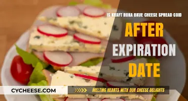 Is Kraft Roka Blue Cheese Spread Safe After Expiration Date?