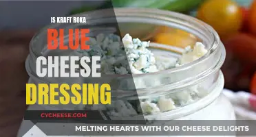 A Delectable Kraft Roka Blue Cheese Dressing
