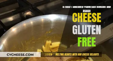 Gluten-Free Goodness: Kraft's Shredded Cheese Blend