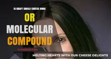 Kraft Singles: Ionic or Molecular Compound? Unraveling the Cheese Mystery
