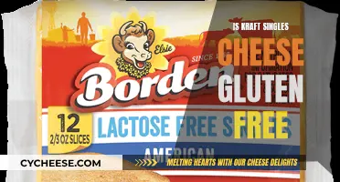 Gluten-Free Kraft Singles: What You Need to Know