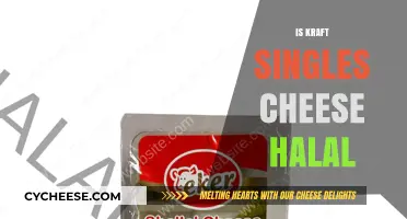 Is Kraft Singles Cheese Halal? Uncovering the Truth for Muslim Consumers