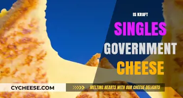 Kraft Singles vs. Government Cheese: Unraveling the Dairy Mystery