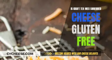 Tex Mex Shredded Cheese: Gluten-Free Option?