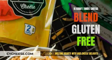 Gluten-Free Kraft Three Cheese Blend: Is It Safe?