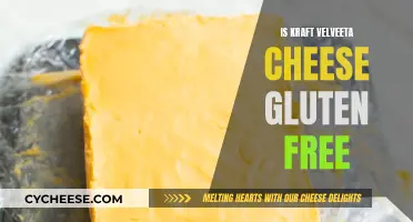 Gluten-Free Velveeta: Kraft's Cheesy Delight