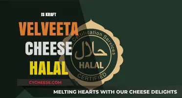 Is Kraft Velveeta Cheese Halal? A Comprehensive Guide