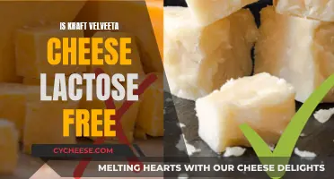 Velveeta Cheese: Lactose-Free Comfort Food