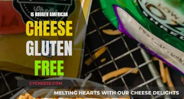 Kroger American Cheese: Is It Gluten-Free?