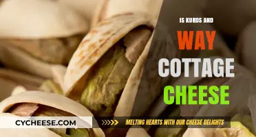 Exploring Kurdish Cuisine: Cottage Cheese Traditions and Cultural Significance