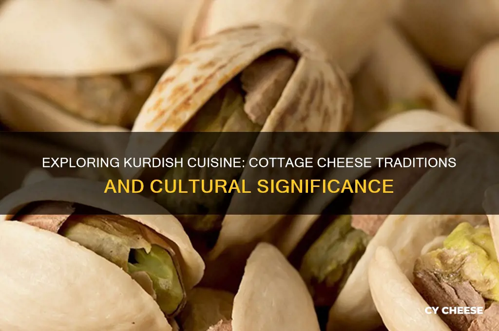 is kurds and way cottage cheese