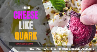 Exploring Labneh and Quark: Similarities in Cheese Varieties