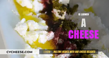 Is Labneh a Cheese? Unraveling the Creamy Middle Eastern Delight