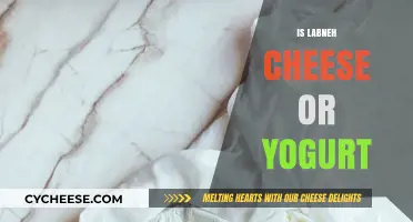 Labneh: Cheese or Yogurt? Unraveling the Creamy Middle Eastern Delight