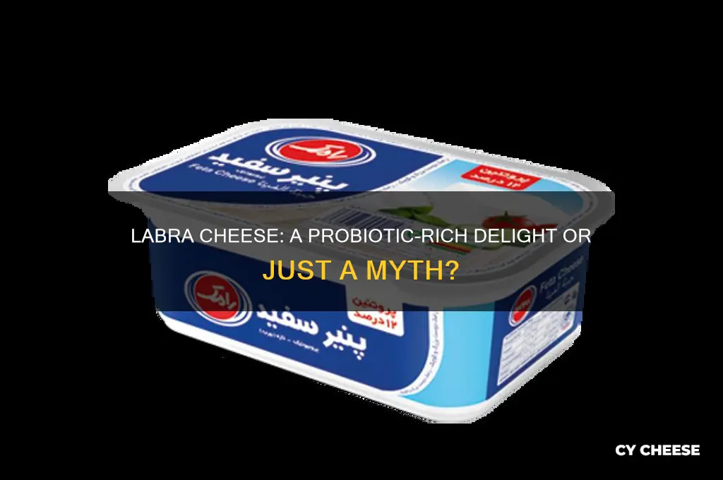 is labra cheese good for probiotic