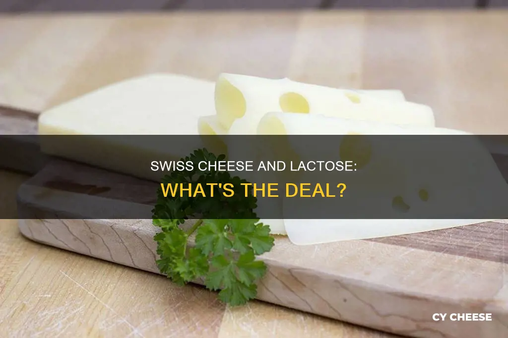 is lacey swiss cheese lactose free
