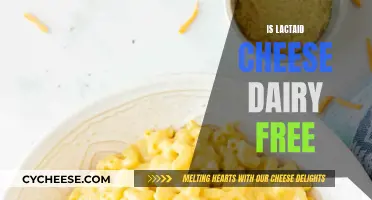 Lactaid Cheese: Is It Really Dairy-Free?