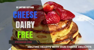 Is Lactaid Cottage Cheese Dairy-Free? Unraveling the Confusion