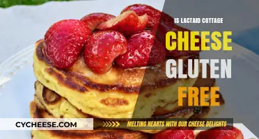 Is Lactaid Cottage Cheese Gluten-Free? A Complete Guide