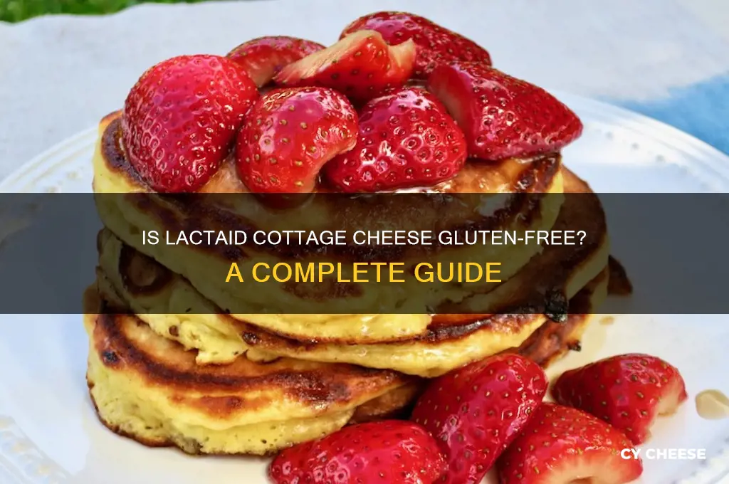 is lactaid cottage cheese gluten free