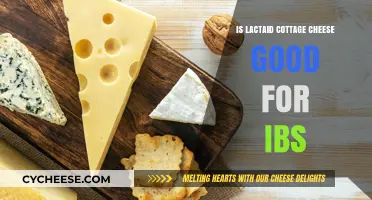 Lactaid Cottage Cheese: A Safe IBS-Friendly Dairy Option?