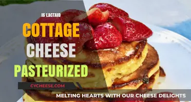 Is Lactaid Cottage Cheese Pasteurized? A Comprehensive Guide
