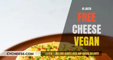 Lacto-Free Cheese: Vegan or Not?