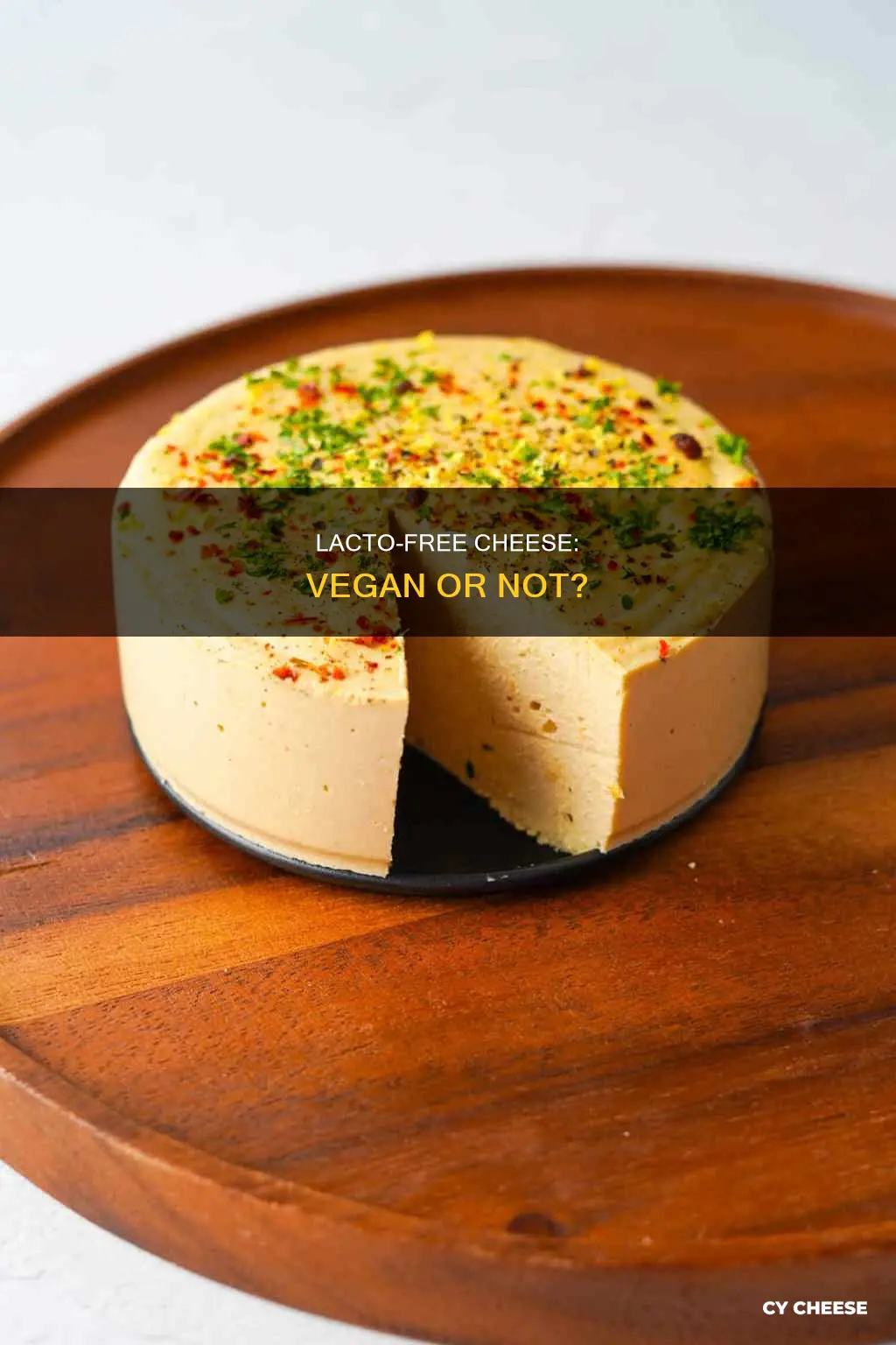 is lacto free cheese vegan