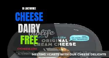 Lactofree Cheese: Dairy-Free or Not?