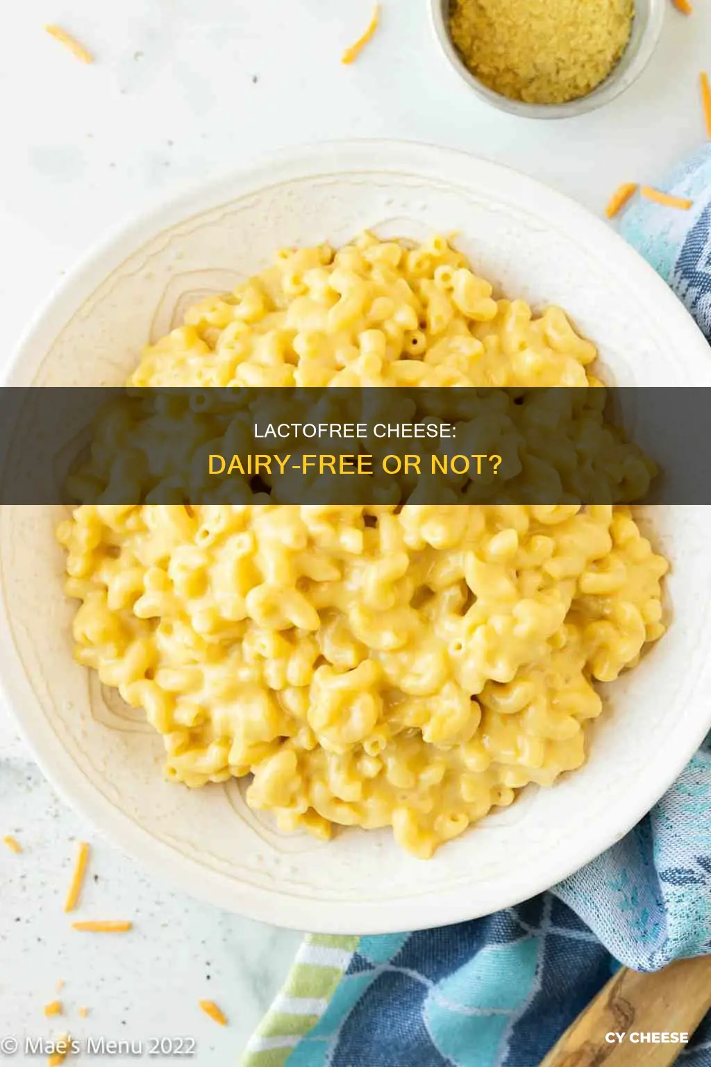 is lactofree cheese dairy free