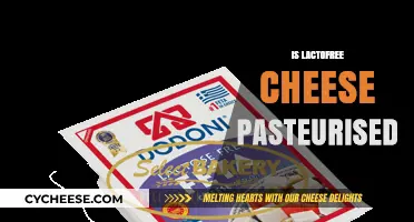 Is Lactofree Cheese Pasteurised? Understanding Lactose-Free Dairy Processing