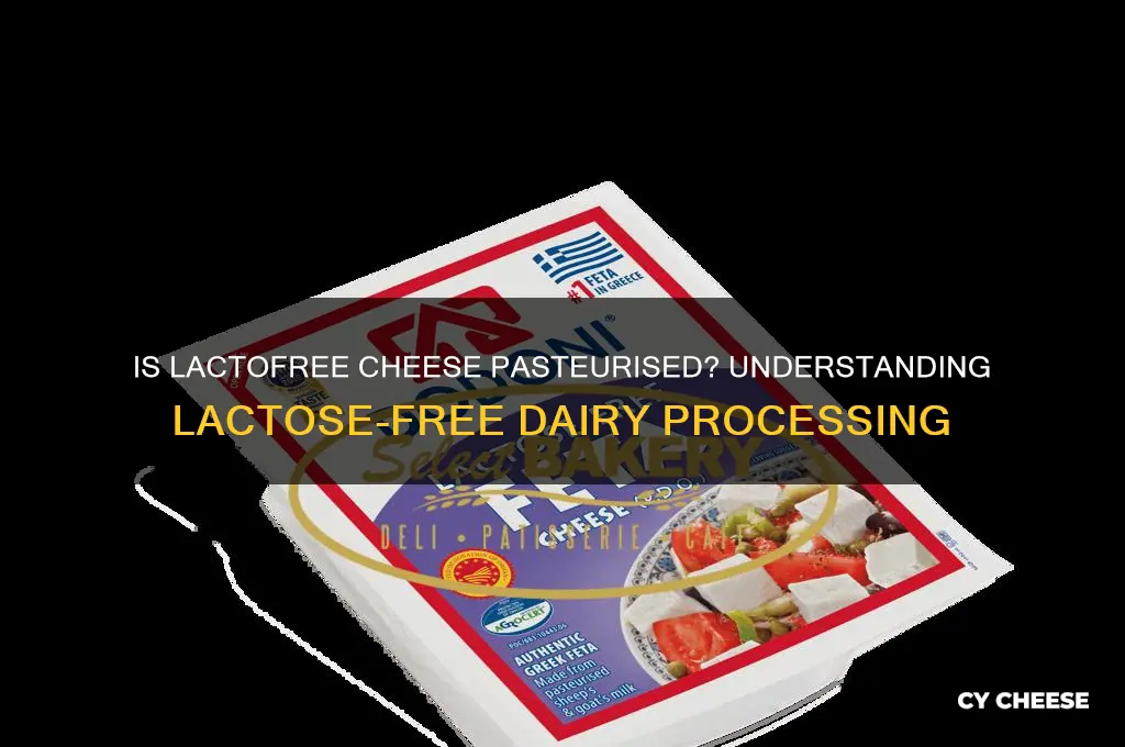 is lactofree cheese pasteurised