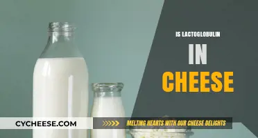 Understanding Lactoglobulin: Its Role and Presence in Cheese Explained