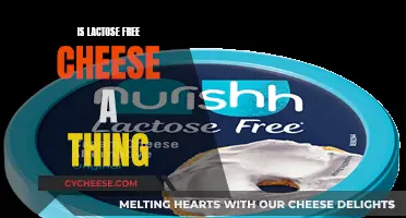 Lactose-Free Cheese: Is It Real?