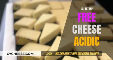Lactose-Free Cheese: Is It Acidic?