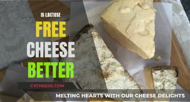 Lactose-Free Cheese: A Better Option?