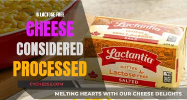 Lactose-Free Cheese: Processed or Not?
