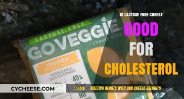 Lactose-Free Cheese and Cholesterol: Health Benefits and Nutritional Insights