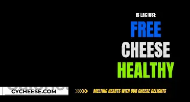 Lactose-Free Cheese: Healthy or Hype?