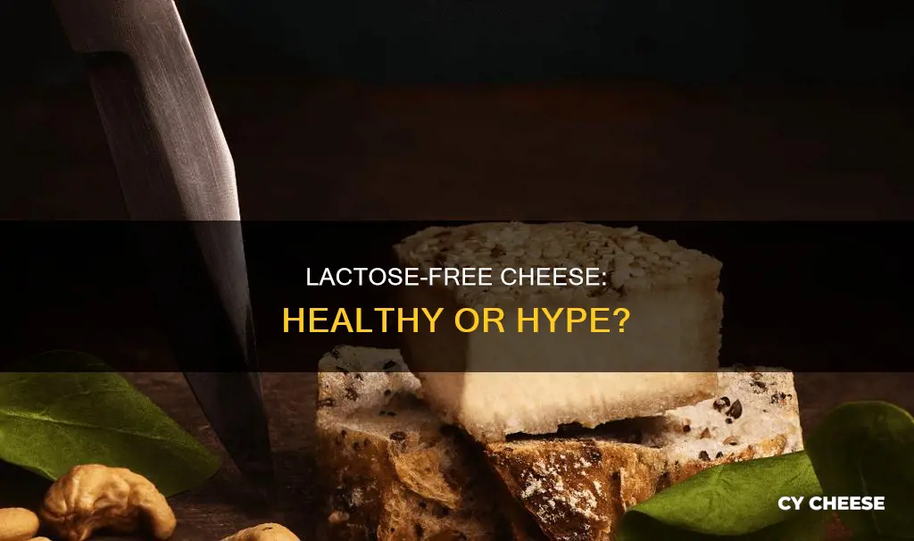is lactose free cheese healthy